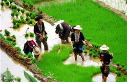 "Bước đệm" để chuyển đổi sản xuất